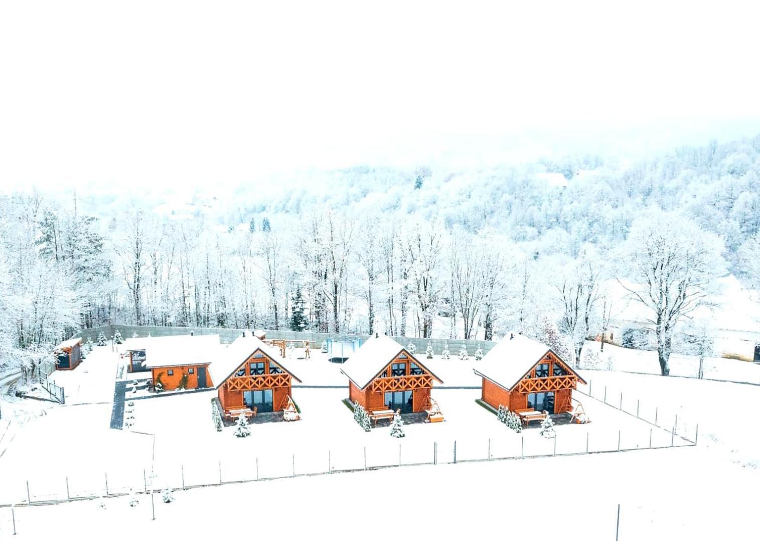 Sloneczne Domki Sudety - Domki Caloroczne Kotlina Klodzka Stary Waliszow Экстерьер фото